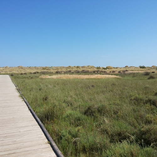 Urlaub Frankreich 2015 (5)